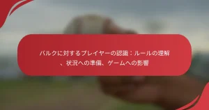 バルクに対するプレイヤーの認識：ルールの理解、状況への準備、ゲームへの影響