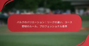 バルクのバリエーション：リーグの違い、ユース野球のルール、プロフェッショナル基準