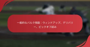 一般的なバルク用語：ウィンドアップ、デリバリー、ピックオフ試み