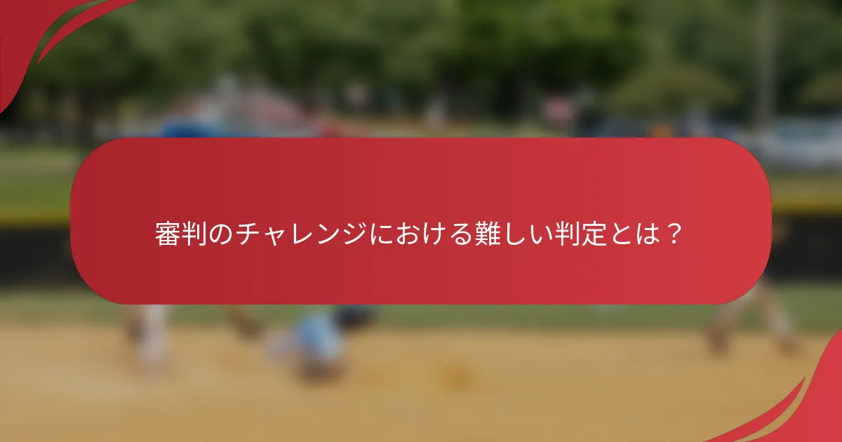 審判のチャレンジにおける難しい判定とは？